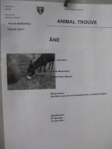 BonCoin&Donkey2011 001