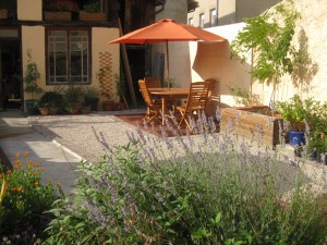 Cake and yard July 2011 031