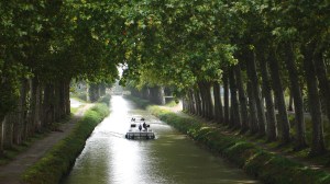 The Canal du Midi: a typical view, courtesy of Wikipedia