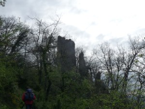 A few of those demoiselles hide themselves behind the woodland trees