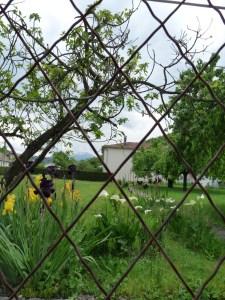 A garden down the road