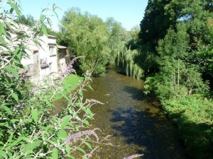 The Touyre today.  Not dirty at all.