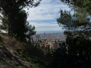 View part way up.