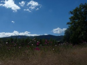 The meadow at the Jardin Extraordinaire today