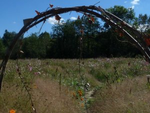 That was the entrance, a few weeks ago.