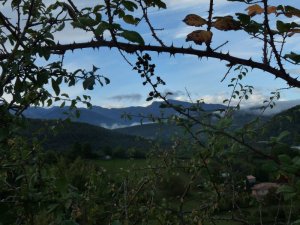It pays to have tough clothes when you hunt among the scratchy brambles for the sloes and hips nearby