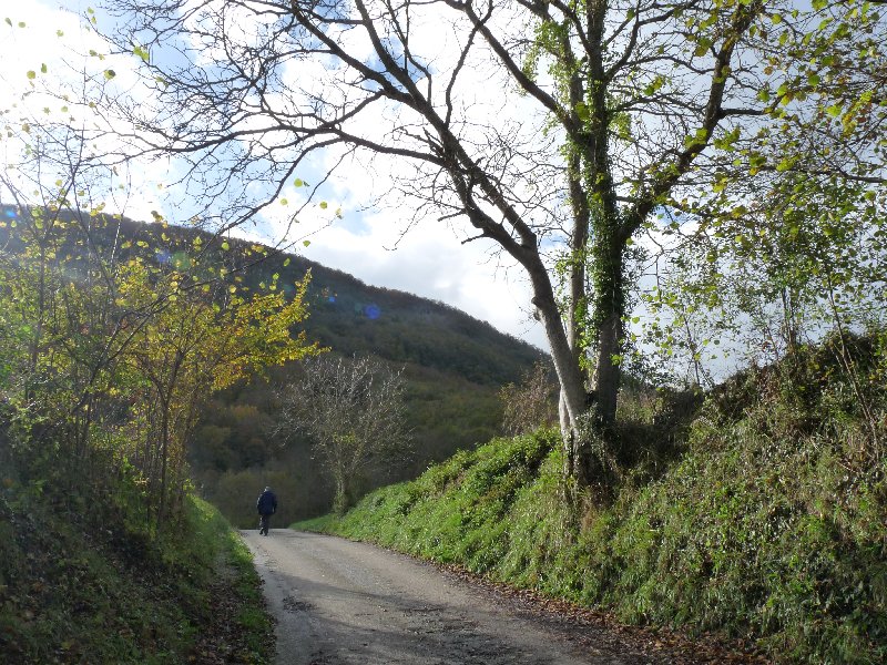 These are the kind of traffic conditions we've got used to