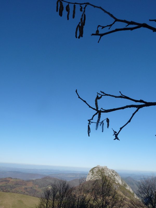 Catkins on the way down point towards Montségur