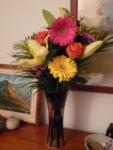 Those flowere, back home.  Can you see Montségur, Henri's version, in the background?