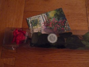 The rose before being nicely arranged.