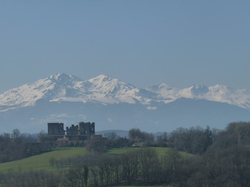 One of the views from our walk last Thursday.  In the distance, the ruined castle of Lagarde.  In the far distance, the Pyrenees.