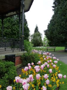Flowers round the bandstand.