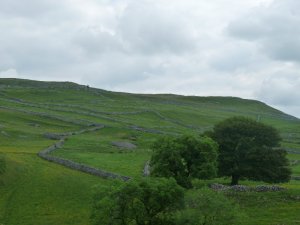 Once cultivated fields are now given over to grass and sheep.
