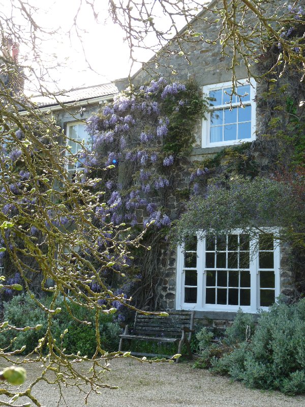 Here's the Old Grange, as it was in May, with the wisteria out.