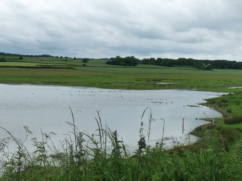 View from a hide at Nosterfield.