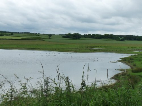 View from a hide at Nosterfield.