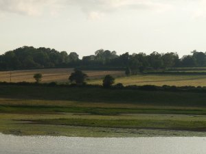 Evening at Nosterfield.