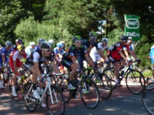 My shockingly bad - and only - photo of the riders passing our gate.