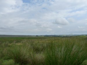 The view at the start.