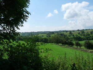 The landscape opens out.