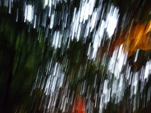 Lights in the starlight.