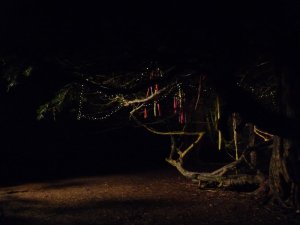 One of the sets, as night falls and we all set off home.