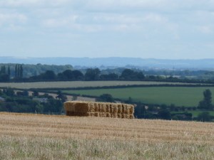 'All is safely gathered in/ Ere the winter storms begin'