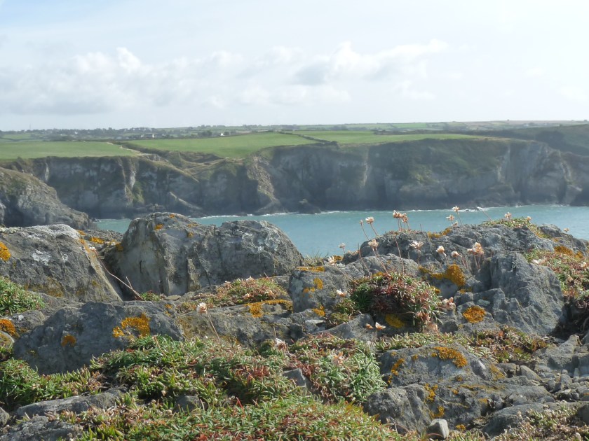 A walk along the Pembrokeshire Coast Path