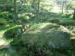 Here's fresh water, aka Adam's ale