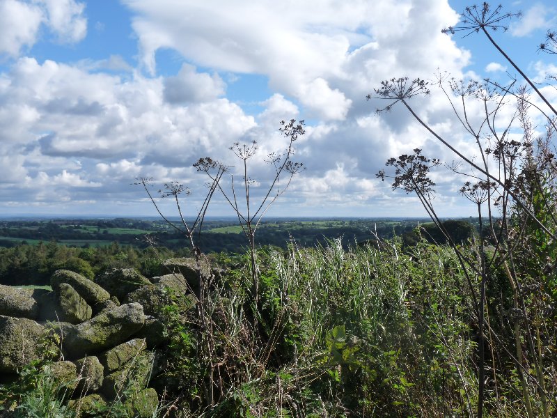 The landscape glimpsed through the skeletons of summer's cow parsley.
