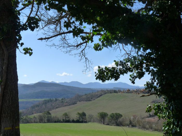 Just down the road from our house in Laroque