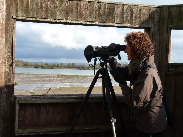 Linda focussing one just one of those birds.