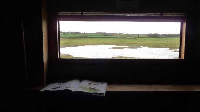 A comfortable hide at Nosterfield: sheepskin covered seats, and lots of birdbooks to refer to come as standard