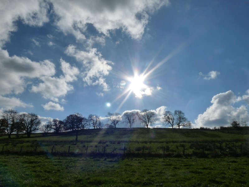 Midday.  Aview from the path.