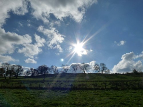 Midday.  Aview from the path.