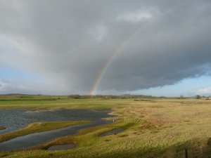 There's a rainbow on the  walk to the gravel ponds - before the lurgie set in.