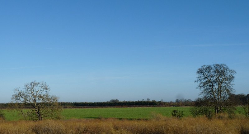 A bright January sky