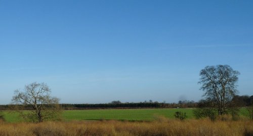 A bright January sky