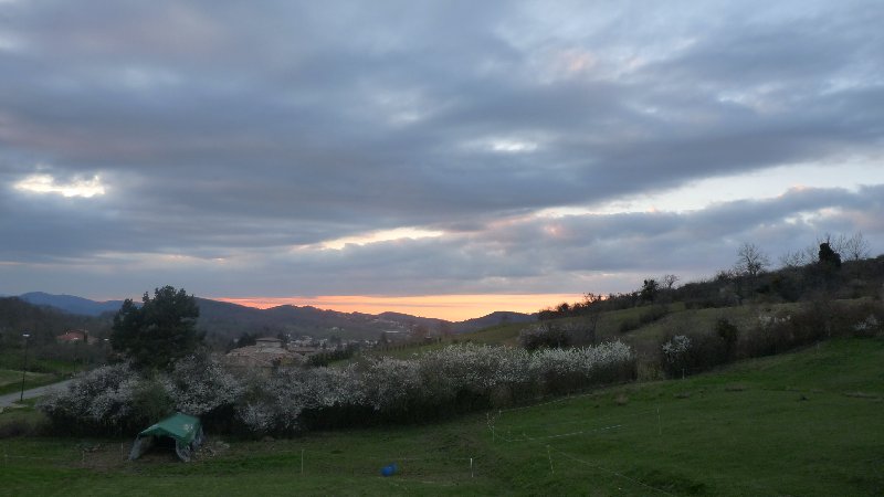A moody sunset seen from the supper table chez Francis and Tine, with the sloe trees in full blossom.