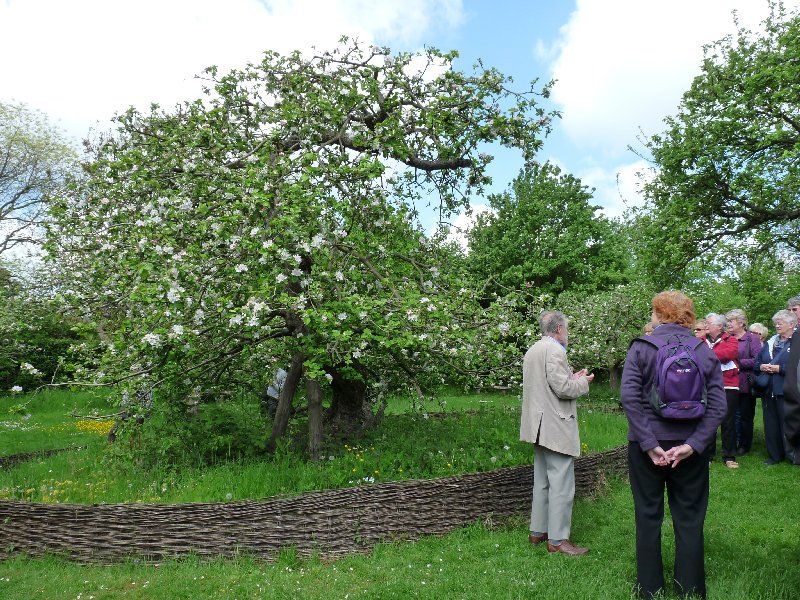 We gather round That Apple Tree to hear its story.