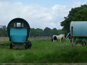 Overnight camp at the roadside.