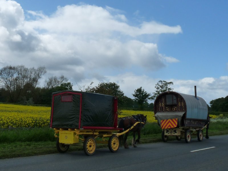 A short convoy of vardoes.