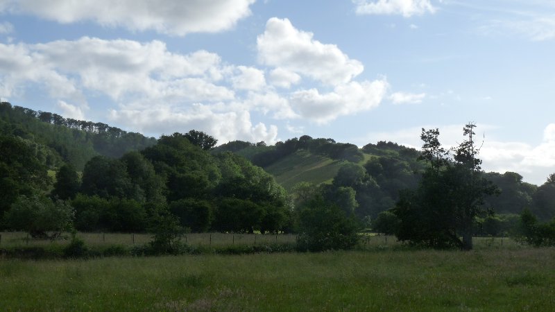 The local landscape.