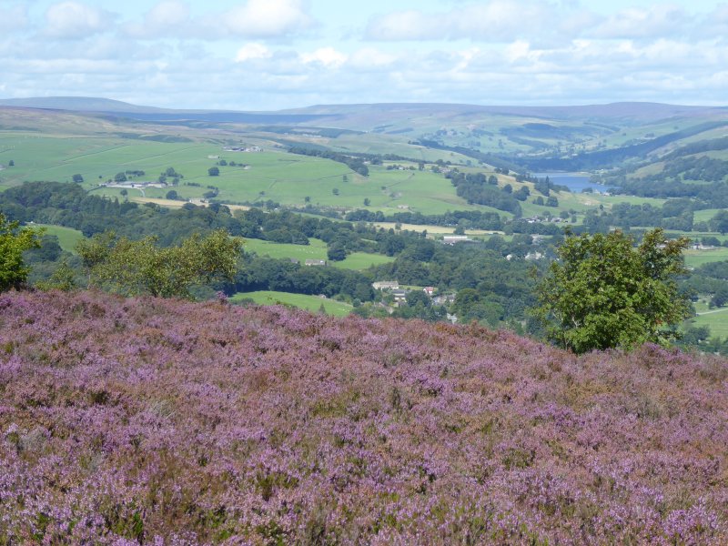Marching through the heather.
