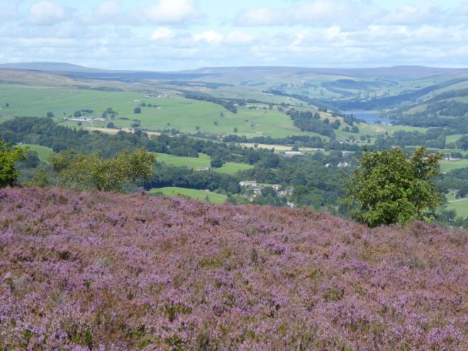 Marching through the heather.