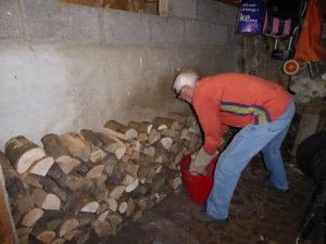 Max making a fine job of stacking the wood.