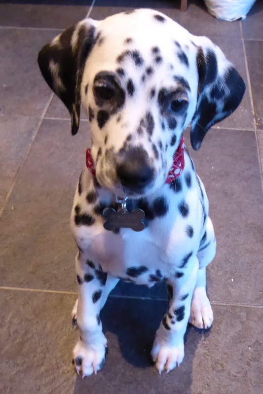 BrianNovember2015 001