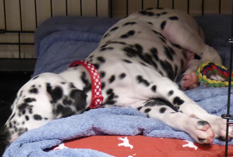 BrianNovember2015 006