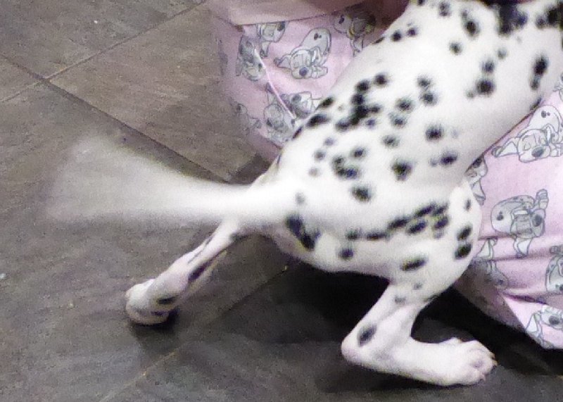 BrianNovember2015 009