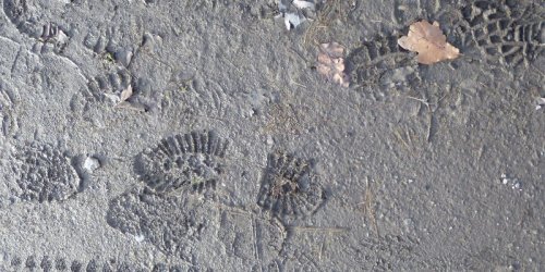 Jervaulx9thFeb2016 072